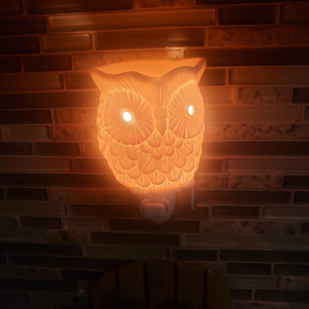 SCENTSY *Owl*  Wall Plug-In Wax Warmer